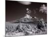 Mount Shasta-Carol Highsmith-Mounted Photo