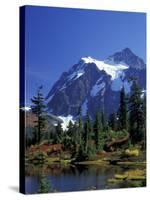 Mount Shuksan and Picture Lake, Heather Meadows, Washington, USA-Jamie & Judy Wild-Stretched Canvas