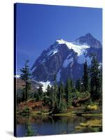 Mount Shuksan and Picture Lake, Heather Meadows, Washington, USA-Jamie & Judy Wild-Stretched Canvas