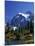 Mount Shuksan and Picture Lake, Heather Meadows, Washington, USA-Jamie & Judy Wild-Mounted Premium Photographic Print