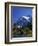 Mount Shuksan and Picture Lake, Heather Meadows, Washington, USA-Jamie & Judy Wild-Framed Photographic Print