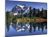 Mount Shuksan at Picture Lake, Heather Meadows, Washington, USA-Jamie & Judy Wild-Mounted Premium Photographic Print