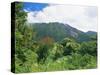 Mount Sibayak, 2094M High, an Active Volcano in the Karo Highlands, Sumatra, Indonesia-Robert Francis-Stretched Canvas