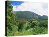 Mount Sibayak, 2094M High, an Active Volcano in the Karo Highlands, Sumatra, Indonesia-Robert Francis-Stretched Canvas