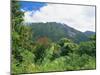 Mount Sibayak, 2094M High, an Active Volcano in the Karo Highlands, Sumatra, Indonesia-Robert Francis-Mounted Photographic Print