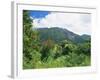 Mount Sibayak, 2094M High, an Active Volcano in the Karo Highlands, Sumatra, Indonesia-Robert Francis-Framed Photographic Print