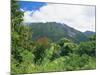 Mount Sibayak, 2094M High, an Active Volcano in the Karo Highlands, Sumatra, Indonesia-Robert Francis-Mounted Photographic Print