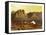 Mount Sinai, Egypt, C1870-W Dickens-Framed Stretched Canvas