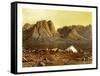 Mount Sinai, Egypt, C1870-W Dickens-Framed Stretched Canvas