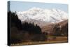 Mount Snowdon Capped with Snow as Welsh Sheep Graze on a Sunny Spring Day, Snowdonia National Park-Stuart Forster-Stretched Canvas