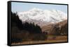 Mount Snowdon Capped with Snow as Welsh Sheep Graze on a Sunny Spring Day, Snowdonia National Park-Stuart Forster-Framed Stretched Canvas