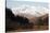 Mount Snowdon Capped with Snow as Welsh Sheep Graze on a Sunny Spring Day, Snowdonia National Park-Stuart Forster-Stretched Canvas