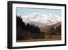 Mount Snowdon Capped with Snow as Welsh Sheep Graze on a Sunny Spring Day, Snowdonia National Park-Stuart Forster-Framed Photographic Print