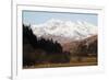 Mount Snowdon Capped with Snow as Welsh Sheep Graze on a Sunny Spring Day, Snowdonia National Park-Stuart Forster-Framed Photographic Print