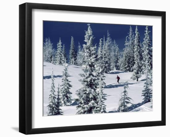 Mount Spokane State Park, Washington, USA-null-Framed Premium Photographic Print