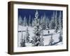 Mount Spokane State Park, Washington, USA-null-Framed Photographic Print