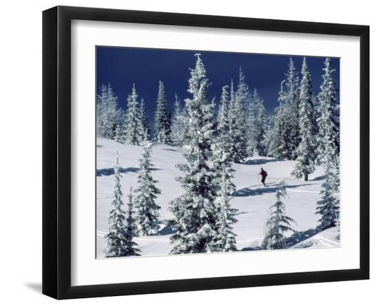 Premium Photographic Print, , large