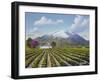 Mount St Helena-Eduardo Camoes-Framed Giclee Print