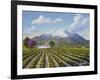 Mount St Helena-Eduardo Camoes-Framed Giclee Print