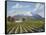 Mount St Helena-Eduardo Camoes-Framed Stretched Canvas
