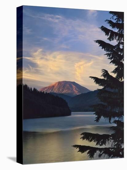 Mount St. Helens (After)-Steve Terrill-Stretched Canvas
