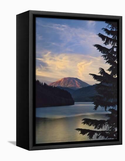 Mount St. Helens (After)-Steve Terrill-Framed Stretched Canvas