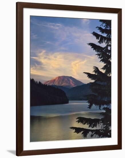 Mount St. Helens (After)-Steve Terrill-Framed Photographic Print