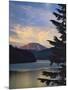 Mount St. Helens (After)-Steve Terrill-Mounted Photographic Print