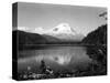 Mount St. Helens, Circa 1925-Asahel Curtis-Stretched Canvas