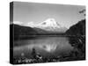 Mount St. Helens, Circa 1925-Asahel Curtis-Stretched Canvas