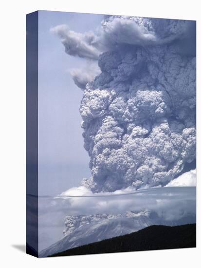 Mount St. Helens Erupting-Steve Terrill-Stretched Canvas