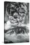 Mount St. Helens Eruption, 1980-Science Source-Stretched Canvas