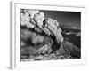 Mount St. Helens Eruption and Mount Hood-Bettmann-Framed Photographic Print