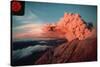 Mount St. Helens Eruption-null-Stretched Canvas