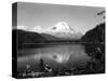 Mount St. Helens From Spirit Lake, 1923-Asahel Curtis-Stretched Canvas