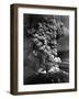 Mount St. Helens in Eruption on May 18, 1980-null-Framed Photo