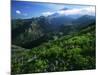 Mount St. Helens National Volcanic Monument, Washington, USA-Charles Gurche-Mounted Photographic Print