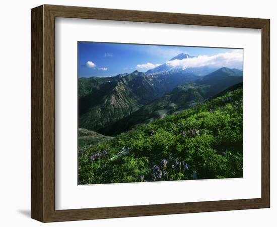 Mount St. Helens National Volcanic Monument, Washington, USA-Charles Gurche-Framed Photographic Print