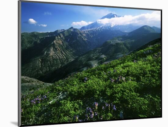 Mount St. Helens National Volcanic Monument, Washington, USA-Charles Gurche-Mounted Photographic Print