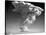 Mount St. Helens Roars to Life-null-Stretched Canvas