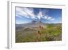 Mount St Helens Volcano with Flowers in Foreground-null-Framed Photographic Print