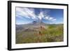 Mount St Helens Volcano with Flowers in Foreground-null-Framed Photographic Print