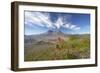 Mount St Helens Volcano with Flowers in Foreground-null-Framed Photographic Print