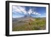 Mount St Helens Volcano with Flowers in Foreground-null-Framed Photographic Print