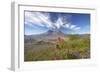 Mount St Helens Volcano with Flowers in Foreground-null-Framed Photographic Print