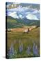 Mount St. Helens, Washington - Elk and Meadow-Lantern Press-Stretched Canvas