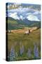 Mount St. Helens, Washington - Elk and Meadow-Lantern Press-Stretched Canvas