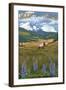 Mount St. Helens, Washington - Elk and Meadow-Lantern Press-Framed Art Print