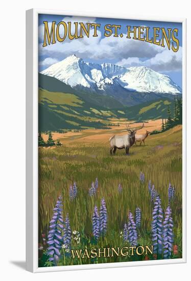 Mount St. Helens, Washington - Elk and Meadow-Lantern Press-Framed Art Print