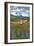Mount St. Helens, Washington - Elk and Meadow-Lantern Press-Framed Art Print
